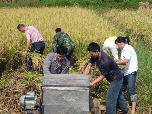 分工协作,齐心收获