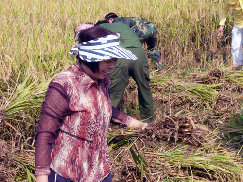 巾帼不让须眉,李总女中豪杰